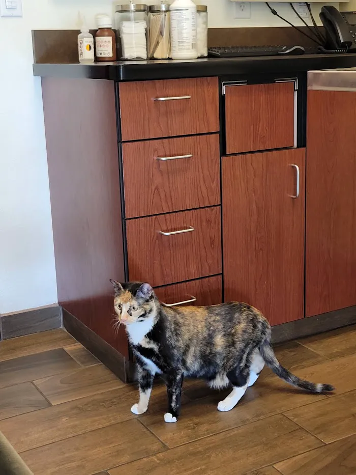 VCA Tri City Animal Hospital and Acacia Cat Hospital 12