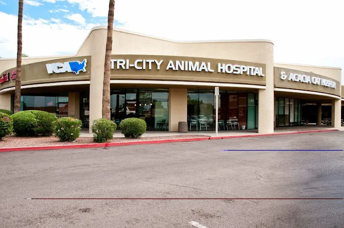 VCA Tri City Animal Hospital and Acacia Cat Hospital 12