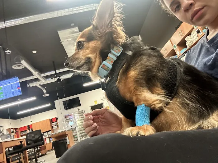 Veterinary Emergency Group 12