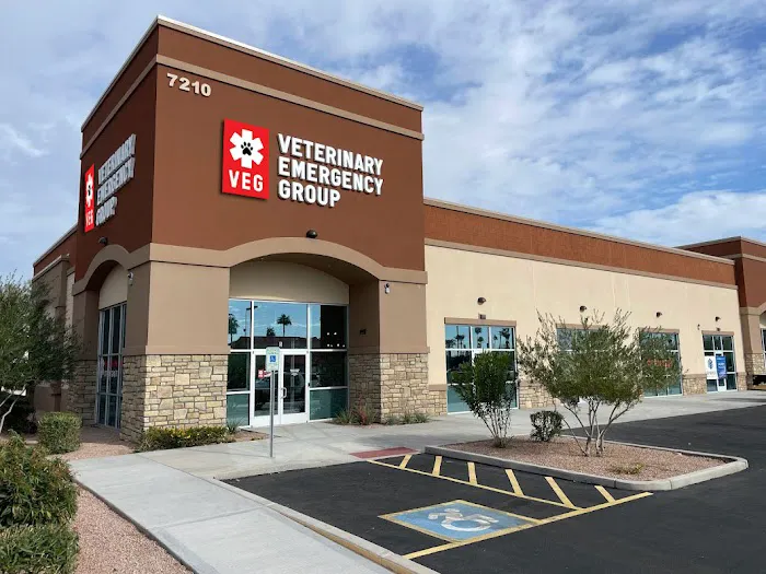 Veterinary Emergency Group 12