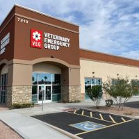 Veterinary Emergency Group ico