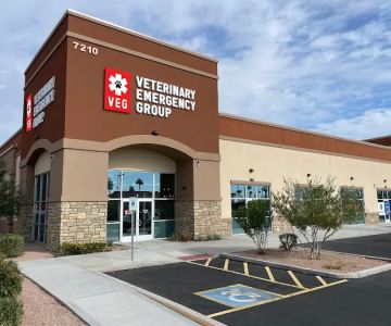 Veterinary Emergency Group