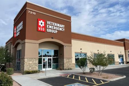 Veterinary Emergency Group