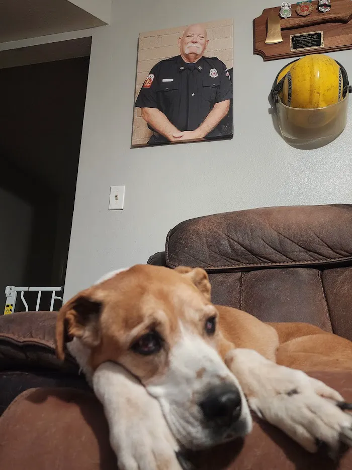 Valley Vet Care - Mobile euthanasia services 2