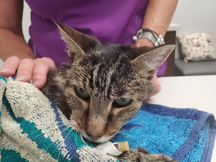 Phoenix Veterinary Referral & Emergency Center 2