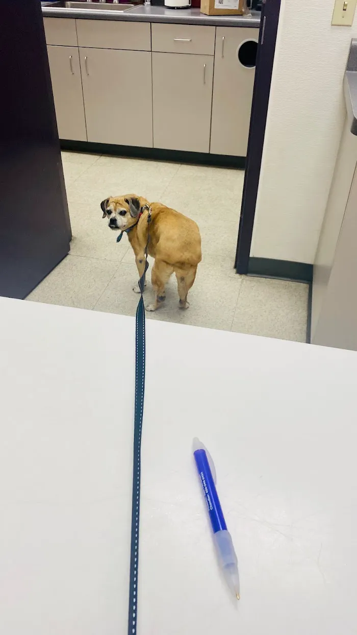 Family VetCare of Mesa 12