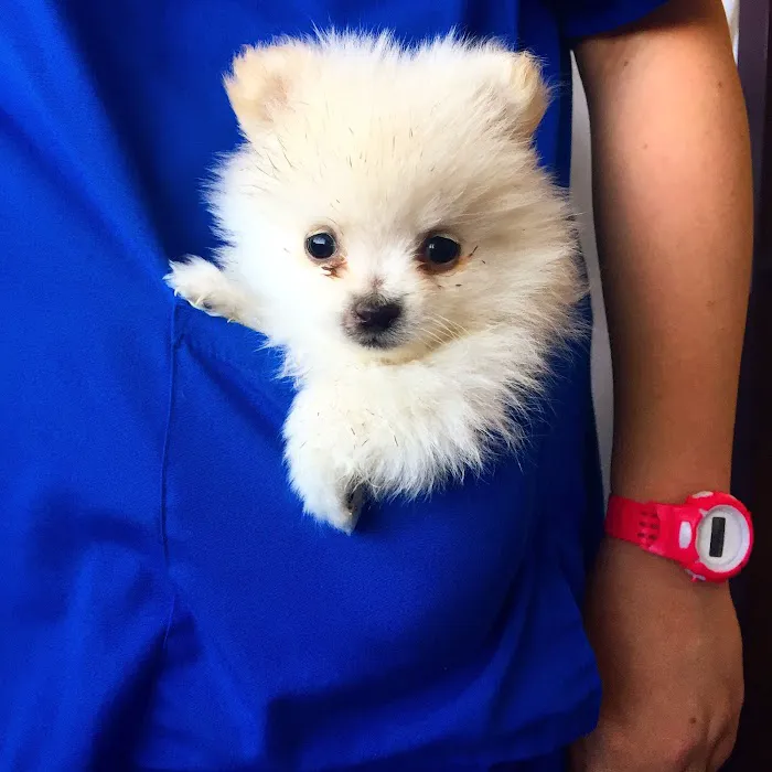 Family VetCare of Mesa 12