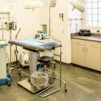 Family VetCare of Mesa ico