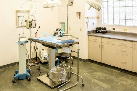 Family VetCare of Mesa