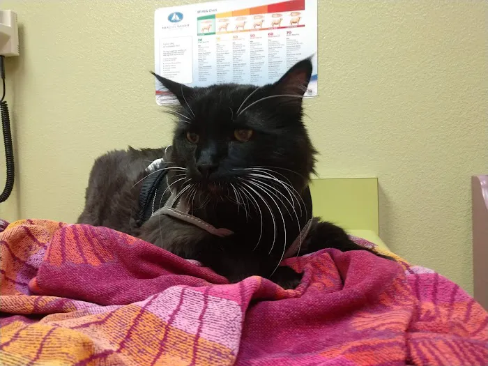 Animal Care Hospital: Halver Mark S DVM 12