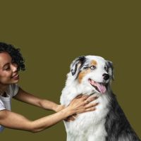 Petfolk Veterinary & Urgent Care - Scottsdale ico