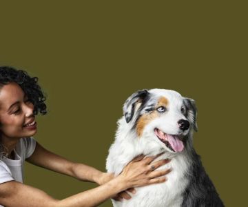 Petfolk Veterinary & Urgent Care - Scottsdale