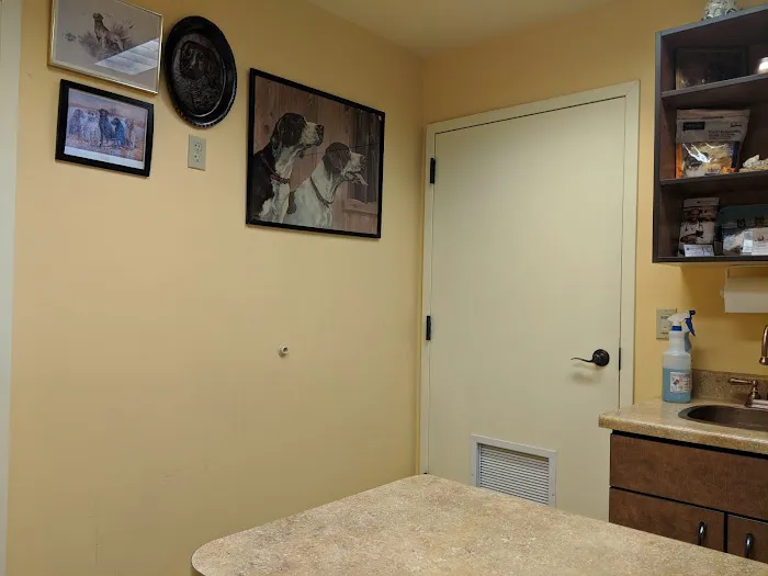 North Kenilworth Veterinary Care 12