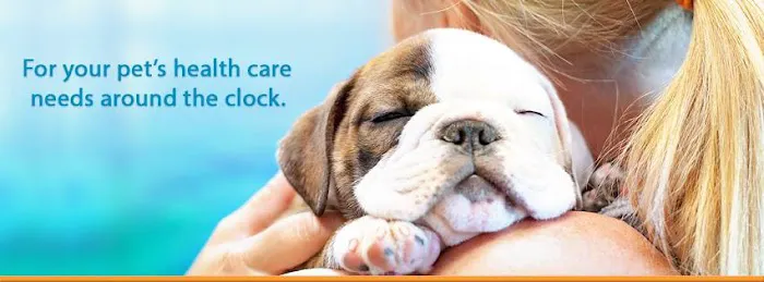 1st Pet Veterinary Centers - Chandler 12