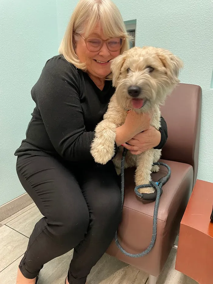 1st Pet Veterinary Centers - Chandler 12