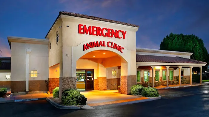 Arizona Veterinary Emergency & Critical Care Center 1