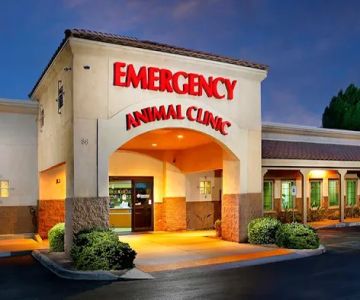 Arizona Veterinary Emergency & Critical Care Center