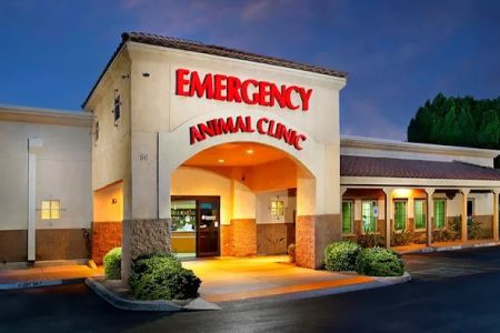 Arizona Veterinary Emergency & Critical Care Center