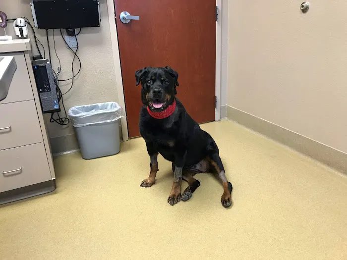 Arizona Veterinary Emergency & Critical Care Center 7