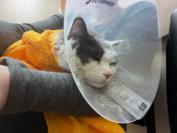 Arizona Veterinary Emergency & Critical Care Center 8
