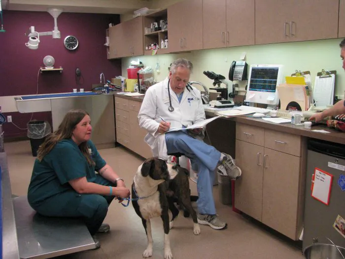 VCA McCormick Ranch Animal Hospital and Emergency Center 12