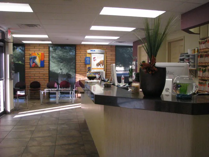 VCA McCormick Ranch Animal Hospital and Emergency Center 12