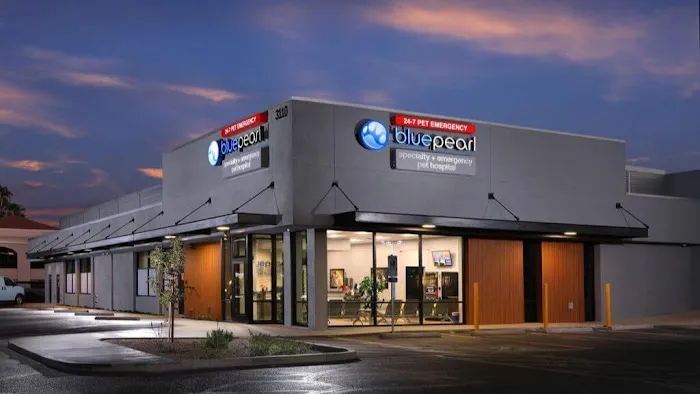 BluePearl Pet Hospital 4