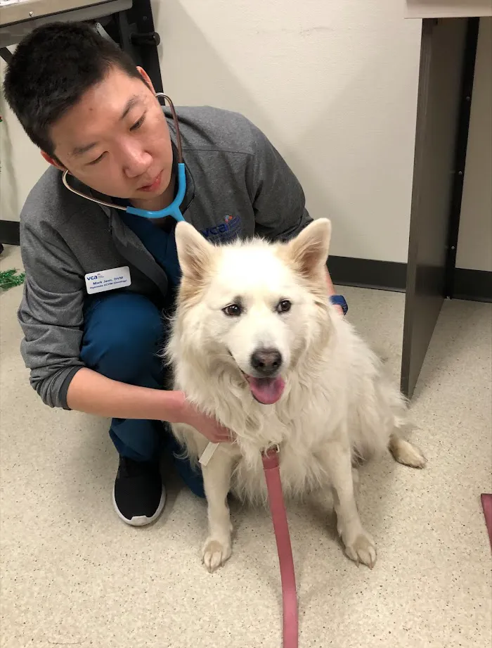 VCA Animal Referral and Emergency Center of Arizona 3