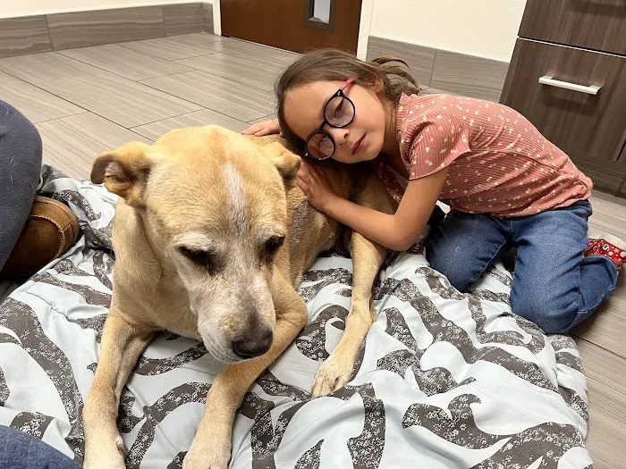 VCA Animal Referral and Emergency Center of Arizona 6