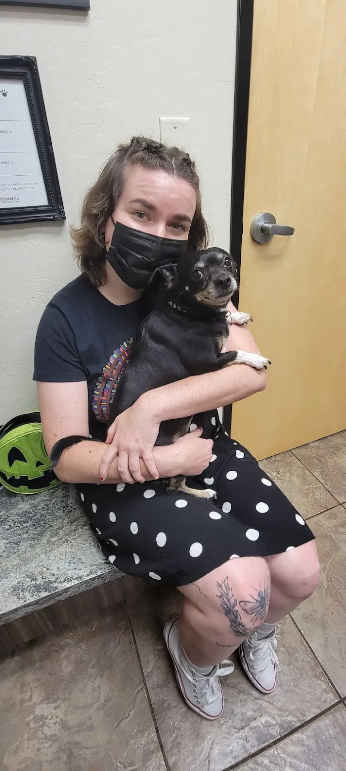 Scottsdale Veterinary Clinic Dental & Surgery Center 6