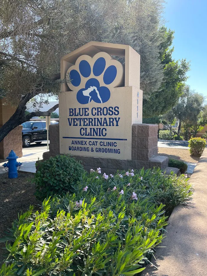 Blue Cross Veterinary Clinic 12