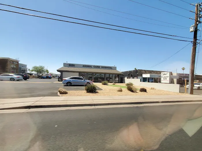 Animal Care Hospital of Phoenix 12