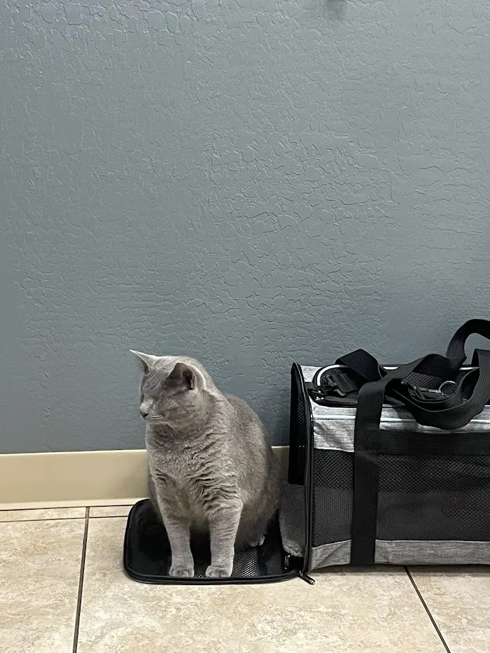 Desert View Animal Hospital 12