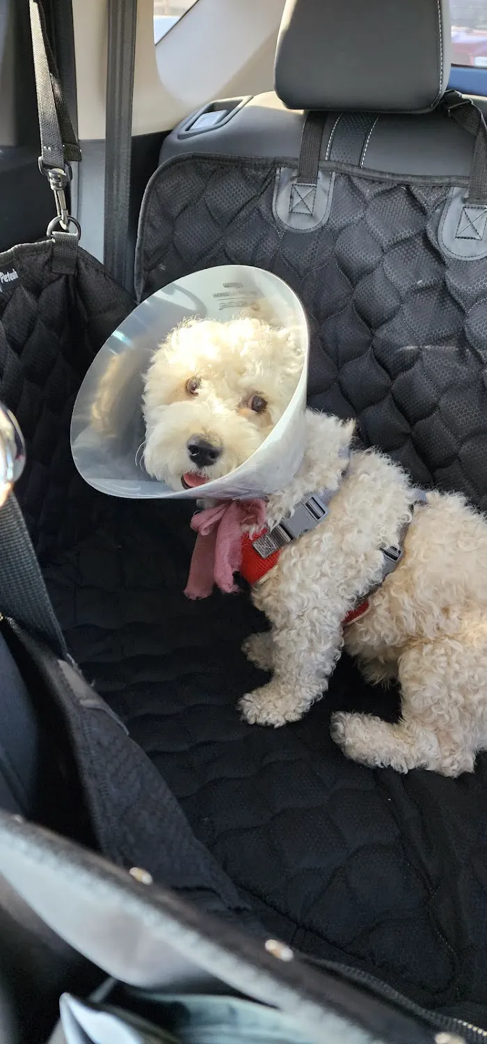 Banfield Pet Hospital 9