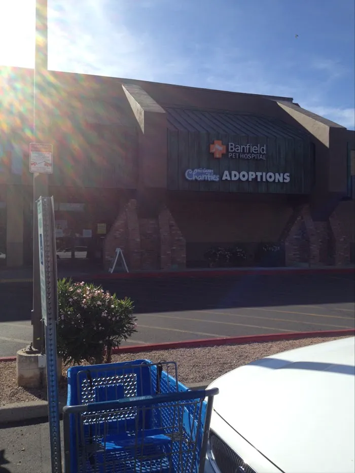 Banfield Pet Hospital 4