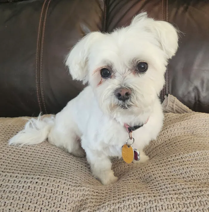 Banfield Pet Hospital 7
