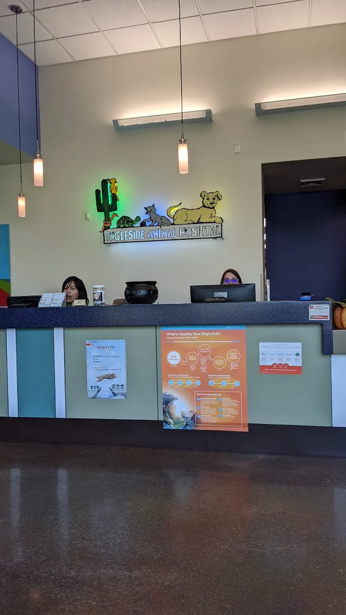 Ingleside Animal Hospital: Levine Kristen DVM 12