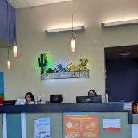 Ingleside Animal Hospital: Levine Kristen DVM ico