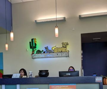 Ingleside Animal Hospital: Levine Kristen DVM