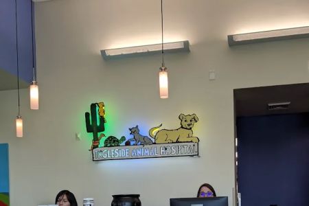 Ingleside Animal Hospital: Levine Kristen DVM