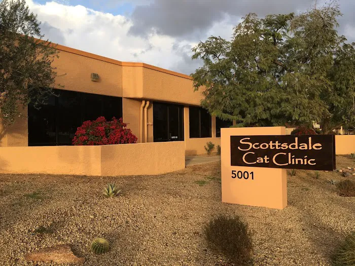 Scottsdale Cat Clinic 12