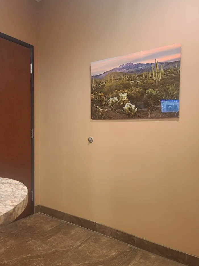 Scottsdale Cat Clinic 12