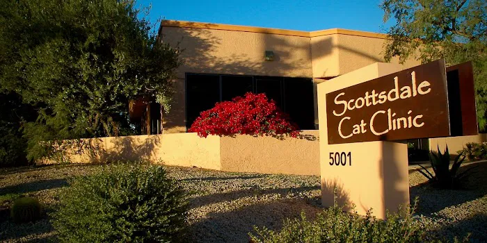 Scottsdale Cat Clinic 12