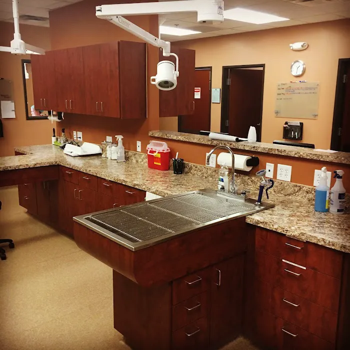 Scottsdale Cat Clinic 12