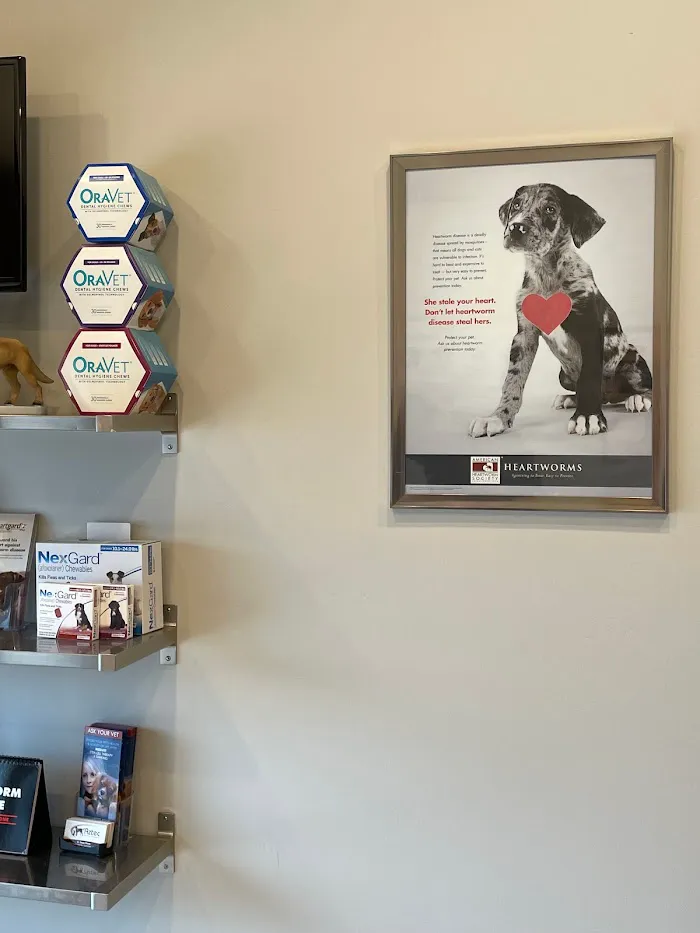 Aztec Animal Hospital 12