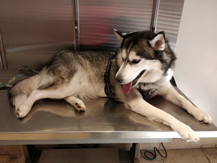 Aztec Animal Hospital 12