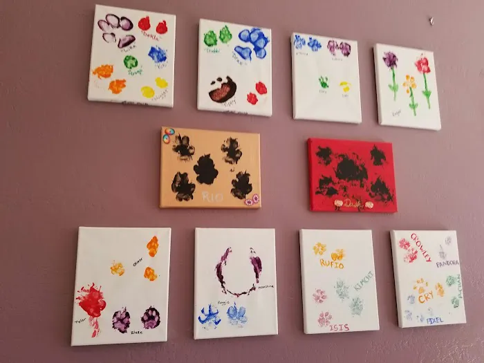 Indian School Animal Hospital 12
