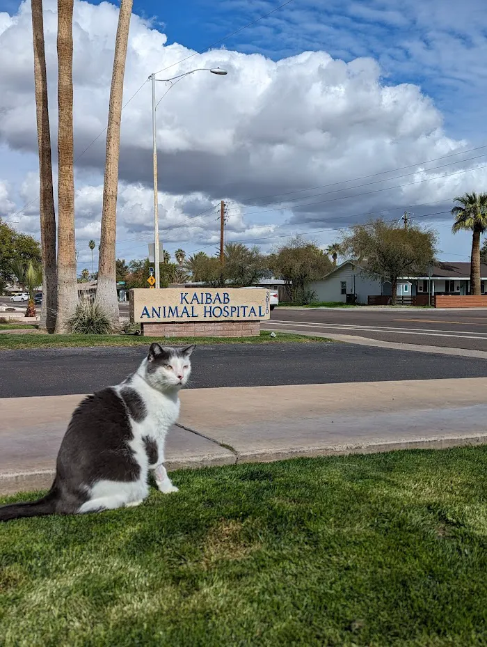 Kaibab Animal Hospital 7