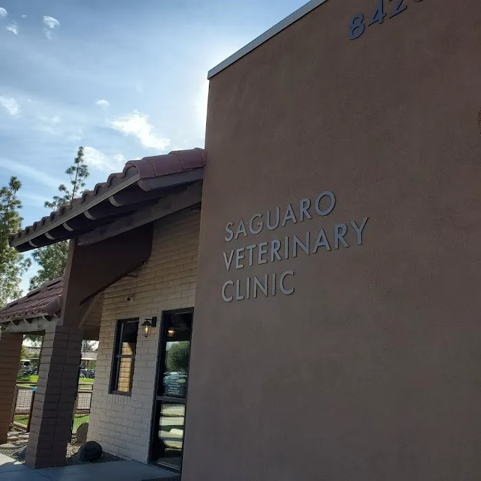Saguaro Veterinary Clinic 4