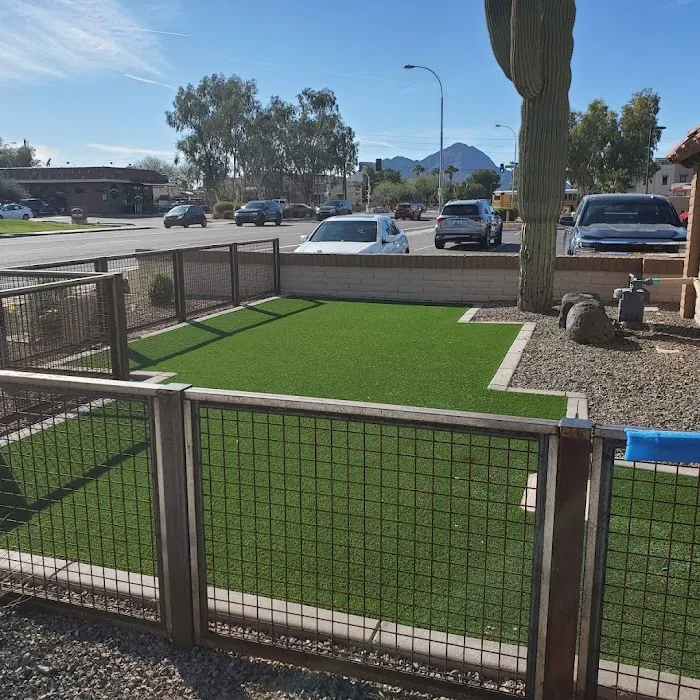 Saguaro Veterinary Clinic 6